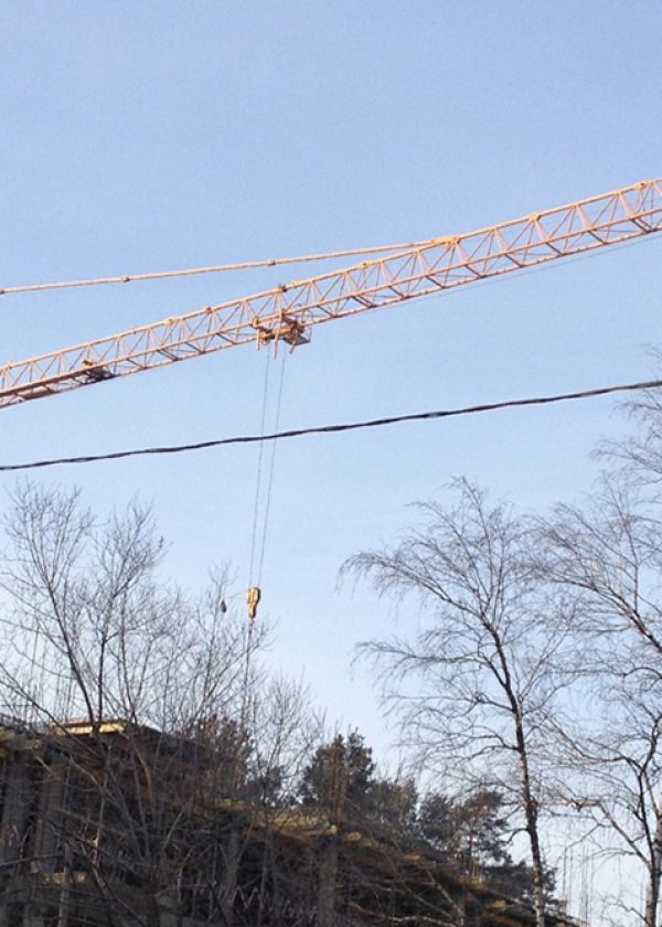 arenda_bashennogo_krana_liebherr_112_ec-h8_3